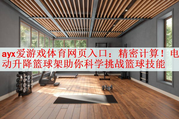 <strong>ayx爱游戏体育网页入口：精密计算！电动升降篮球架助你科学挑战篮球技能</strong>