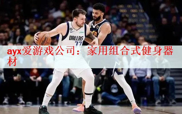 <strong>ayx爱游戏公司：家用组合式健身器材</strong>