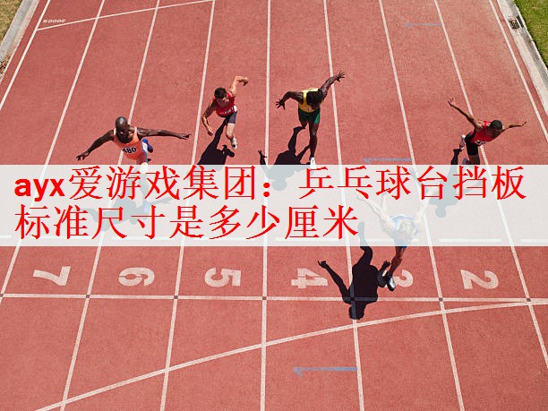 ayx爱游戏集团：乒乓球台挡板标准尺寸是多少厘米