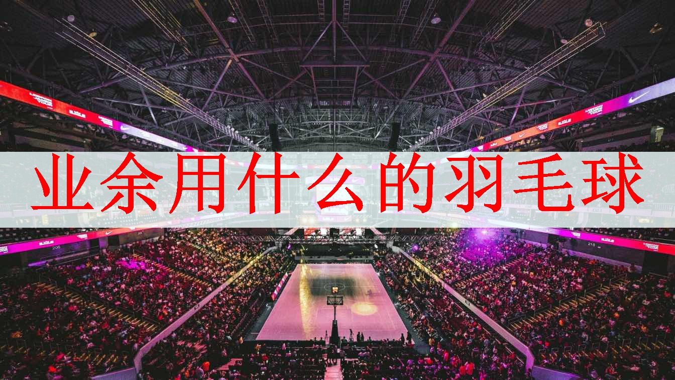 <strong>业余用什么的羽毛球</strong>