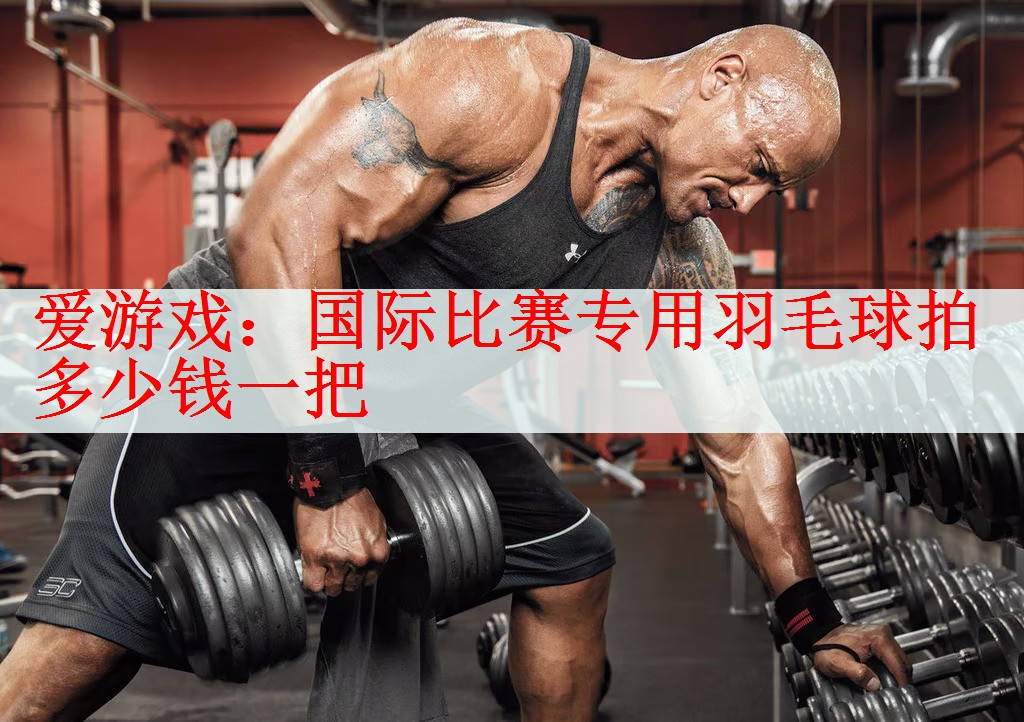 <strong>爱游戏：国际比赛专用羽毛球拍多少钱一把</strong>