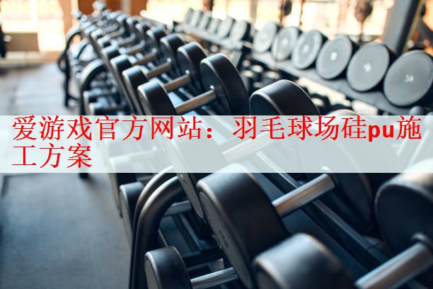 爱游戏官方网站：羽毛球场硅pu施工方案