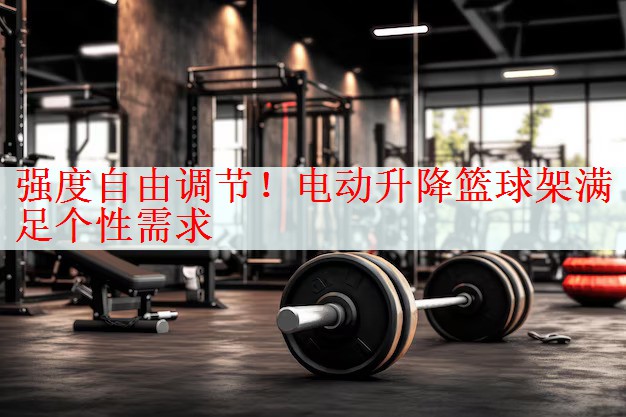 <strong>强度自由调节！电动升降篮球架满足个性需求</strong>