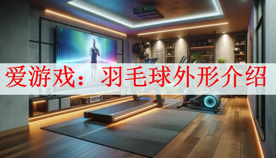 爱游戏：羽毛球外形介绍