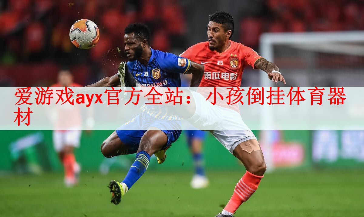 爱游戏ayx官方全站：小孩倒挂体育器材
