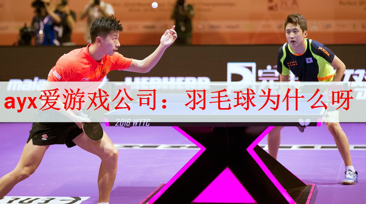 <strong>ayx爱游戏公司：羽毛球为什么呀</strong>