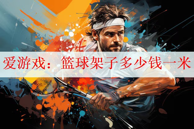 爱游戏：篮球架子多少钱一米