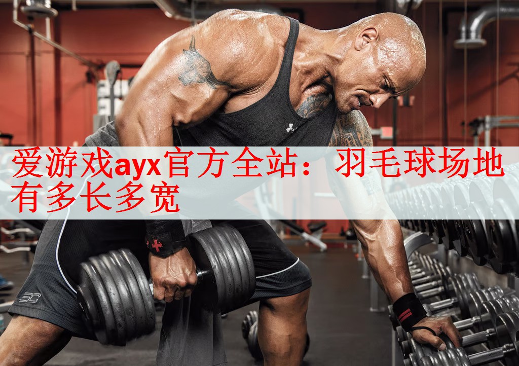 <strong>爱游戏ayx官方全站：羽毛球场地有多长多宽</strong>