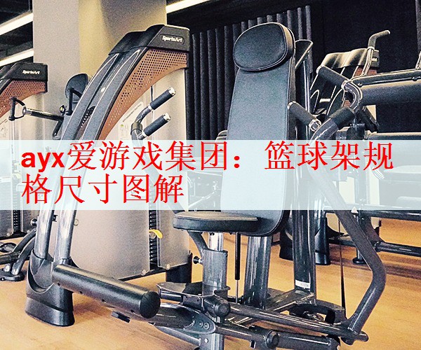 ayx爱游戏集团：篮球架规格尺寸图解