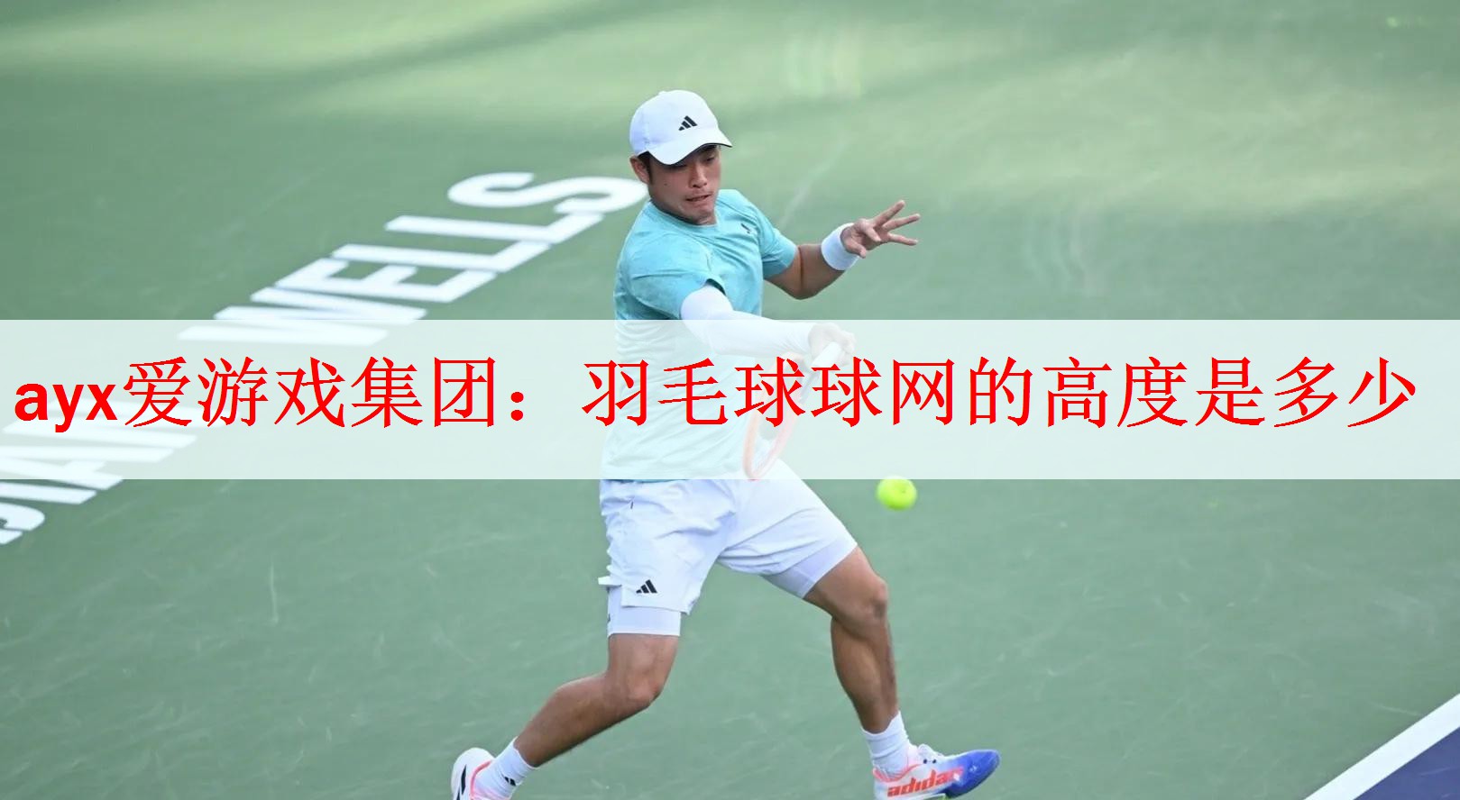 ayx爱游戏集团：羽毛球球网的高度是多少
