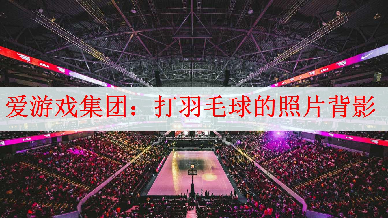 爱游戏集团：打羽毛球的照片背影