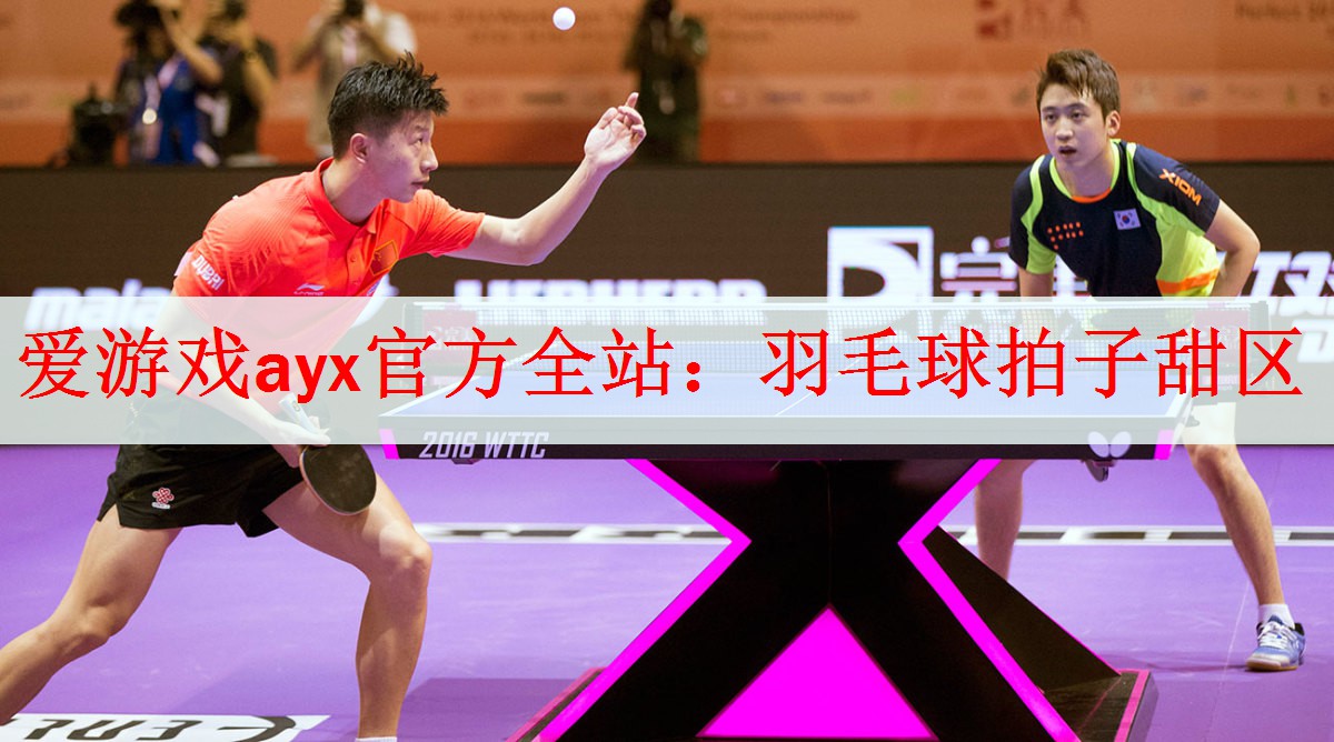 爱游戏ayx官方全站：羽毛球拍子甜区