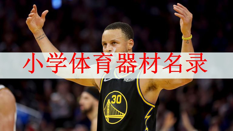 <strong>小学体育器材名录</strong>