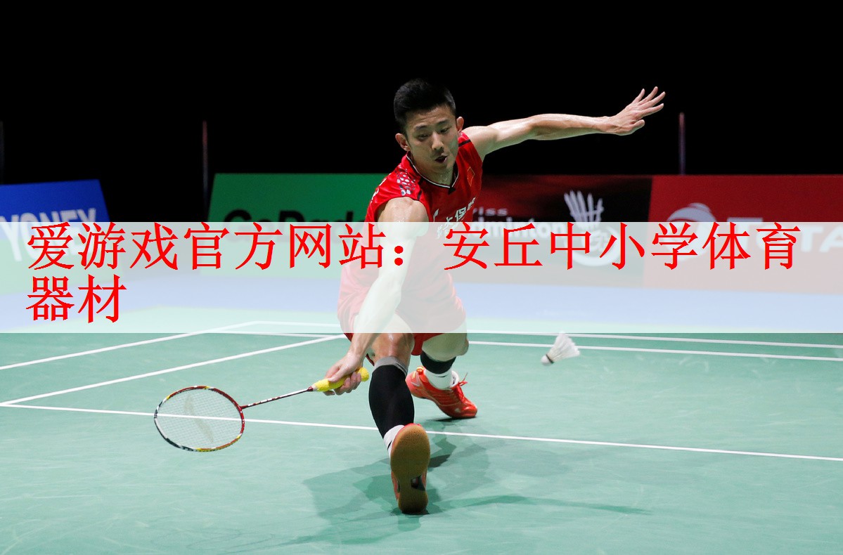 <strong>爱游戏官方网站：安丘中小学体育器材</strong>