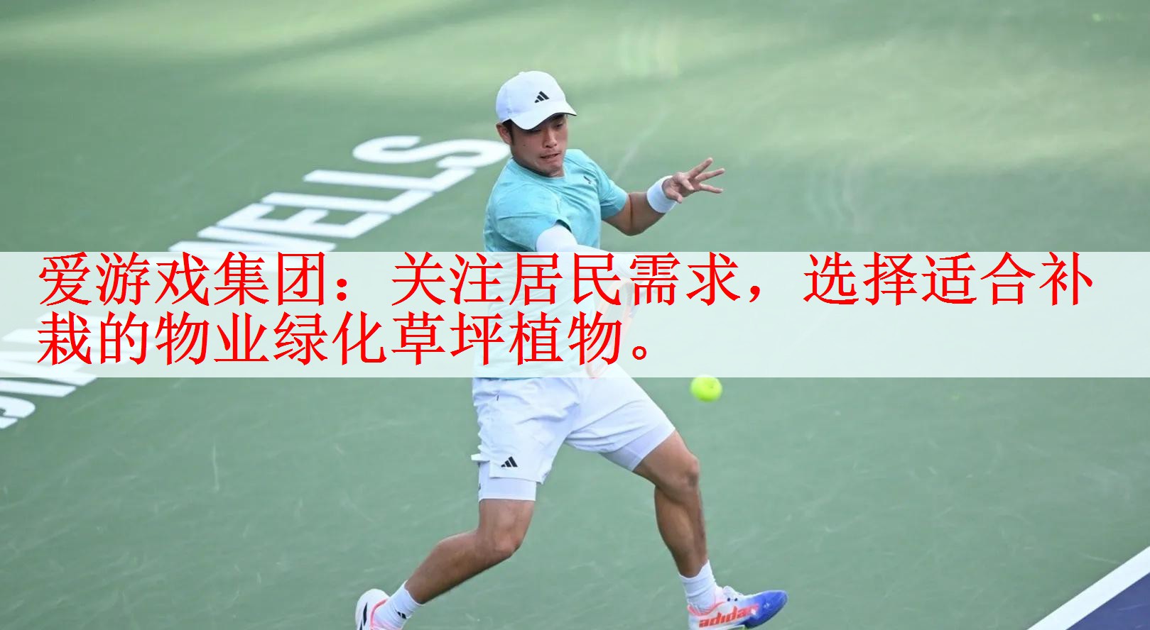 <strong>爱游戏集团：关注居民需求，选择适合补栽的物业绿化草坪植物。</strong>