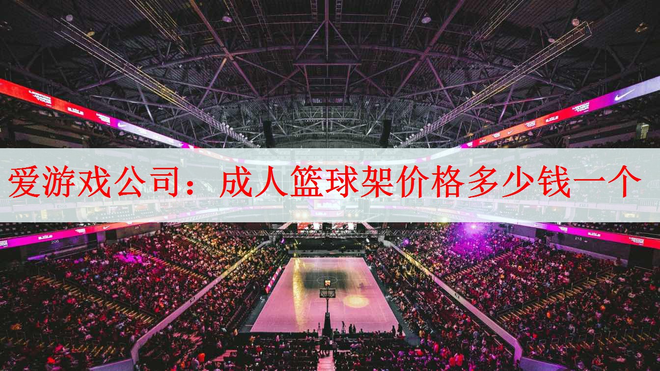 <strong>爱游戏公司：成人篮球架价格多少钱一个</strong>