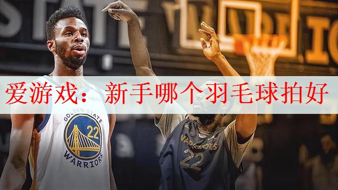 爱游戏：新手哪个羽毛球拍好