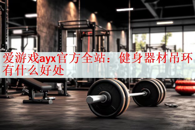 爱游戏ayx官方全站：健身器材吊环有什么好处