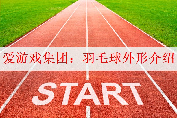 爱游戏集团：羽毛球外形介绍
