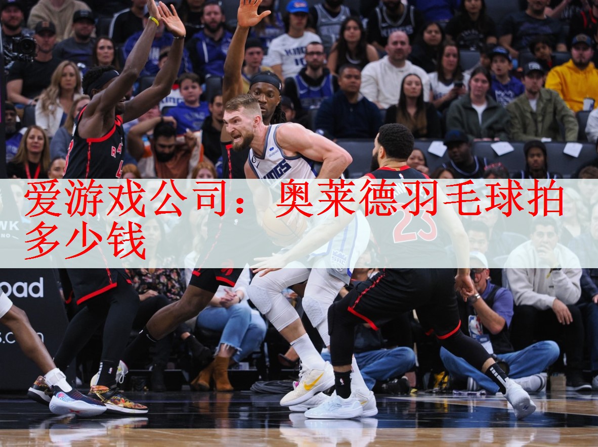 爱游戏公司：奥莱德羽毛球拍多少钱