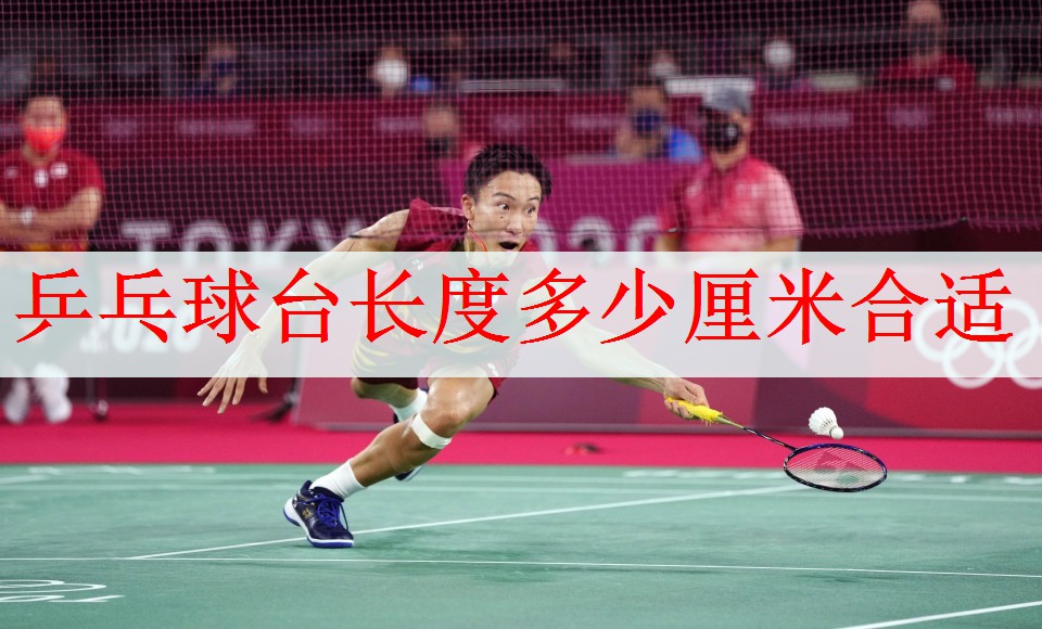 乒乓球台长度多少厘米合适