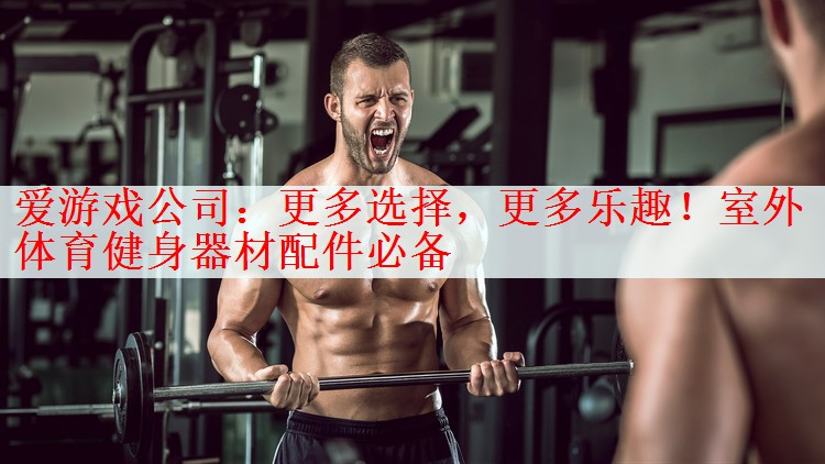 爱游戏公司：更多选择，更多乐趣！室外体育健身器材配件必备