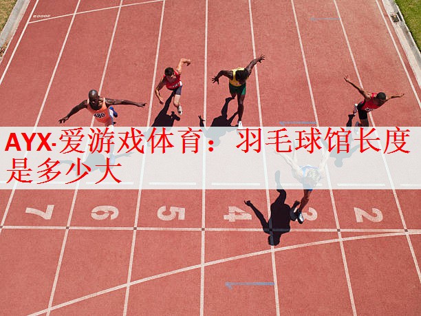 AYX·爱游戏体育：羽毛球馆长度是多少大
