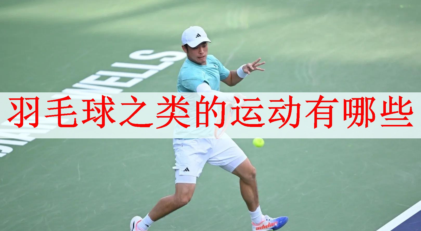 <strong>羽毛球之类的运动有哪些</strong>