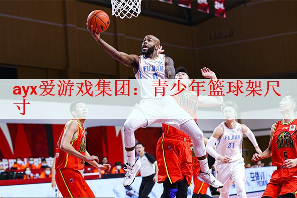 <strong>ayx爱游戏集团：青少年篮球架尺寸</strong>