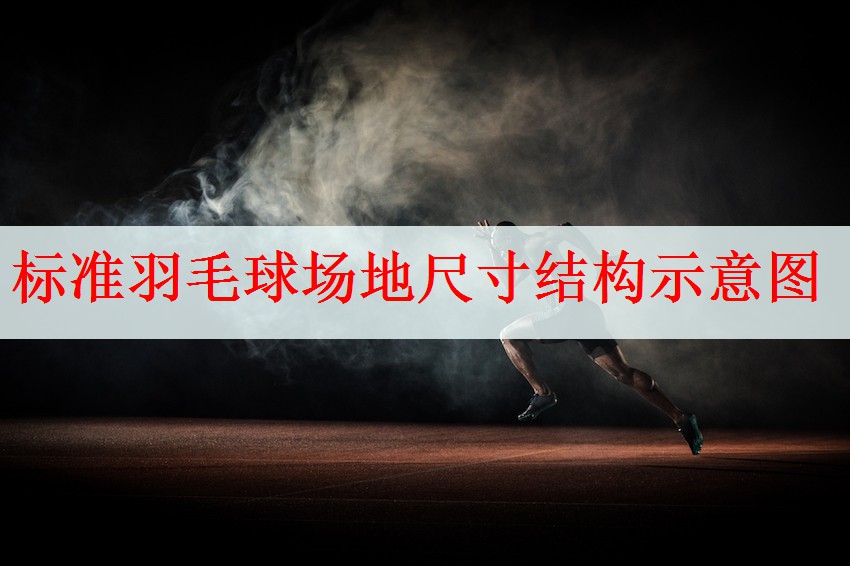 <strong>标准羽毛球场地尺寸结构示意图</strong>