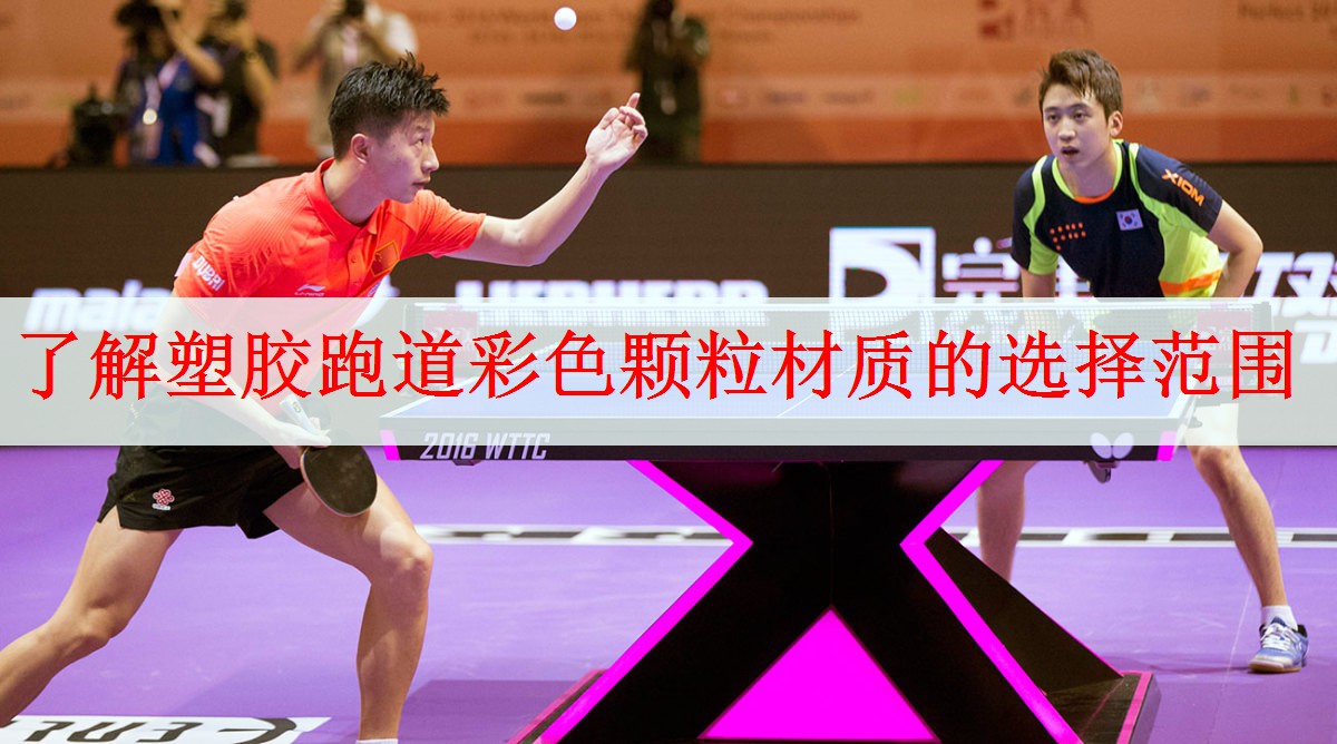 <strong>了解塑胶跑道彩色颗粒材质的选择范围</strong>