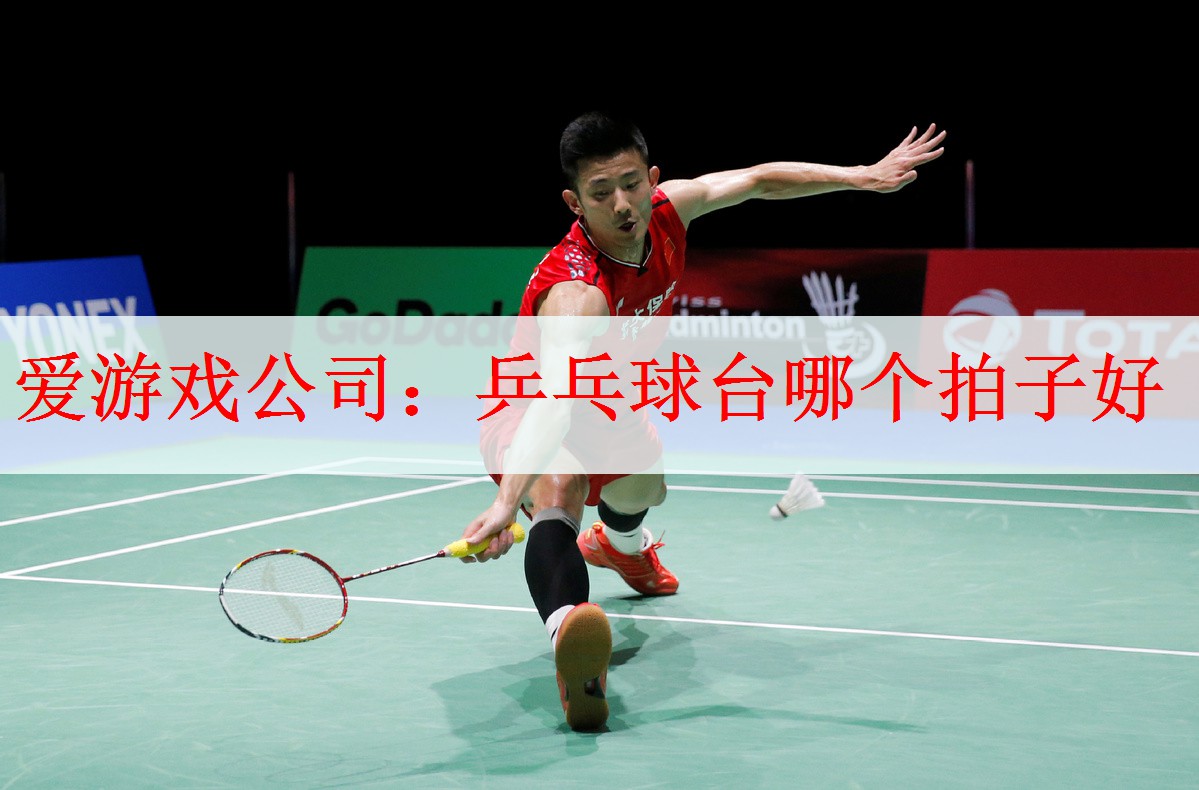 乒乓球台哪个拍子好