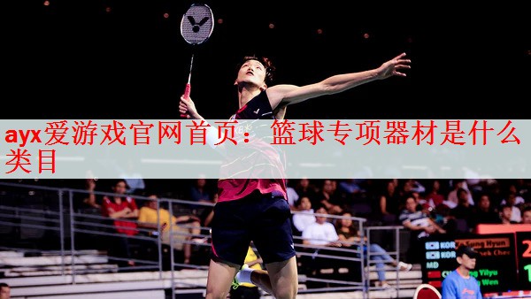篮球专项器材是什么类目
