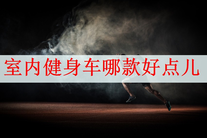 室内健身车哪款好点儿