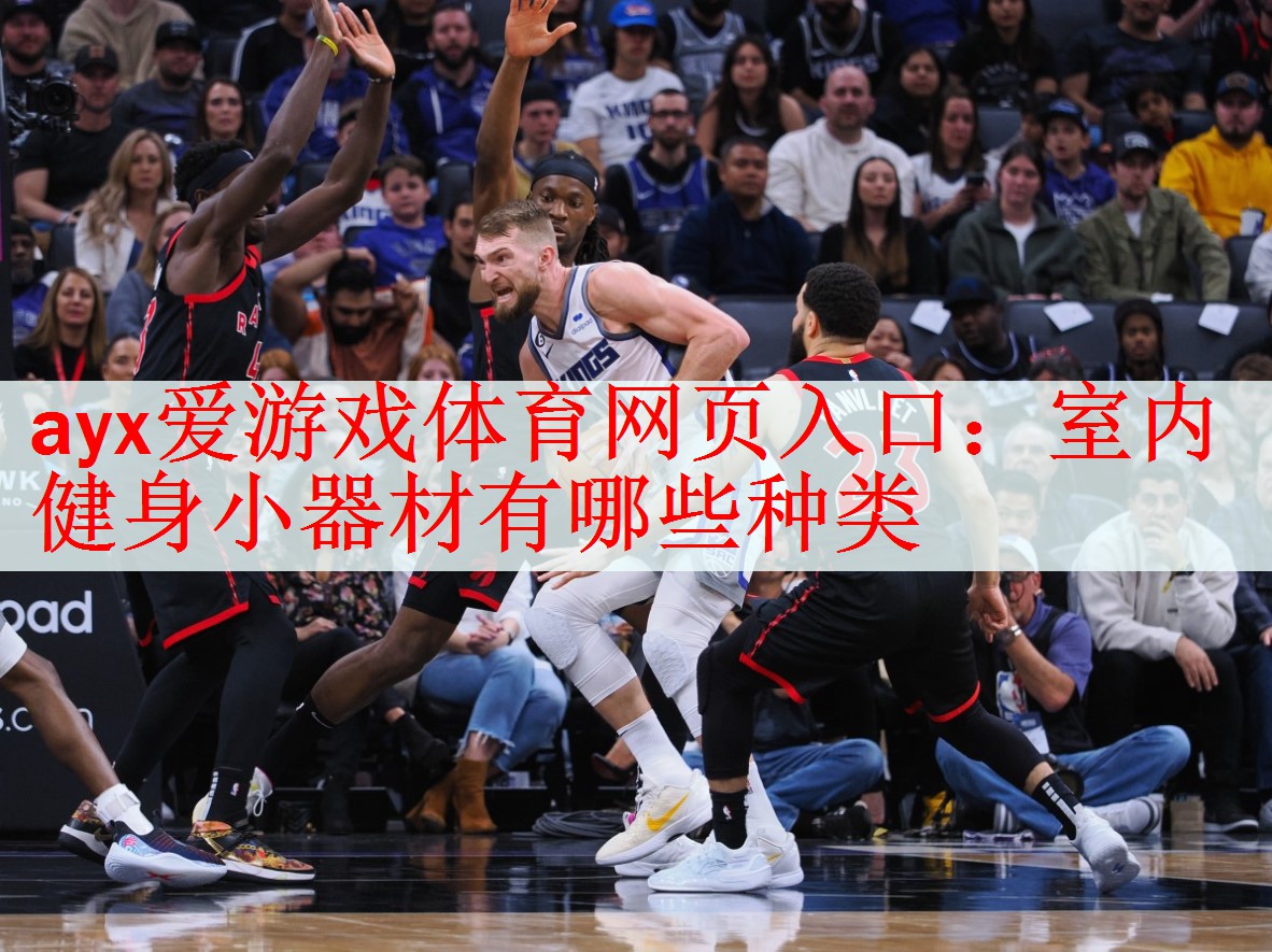 室内健身小器材有哪些种类