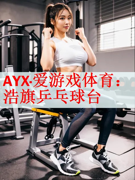 浩旗乒乓球台