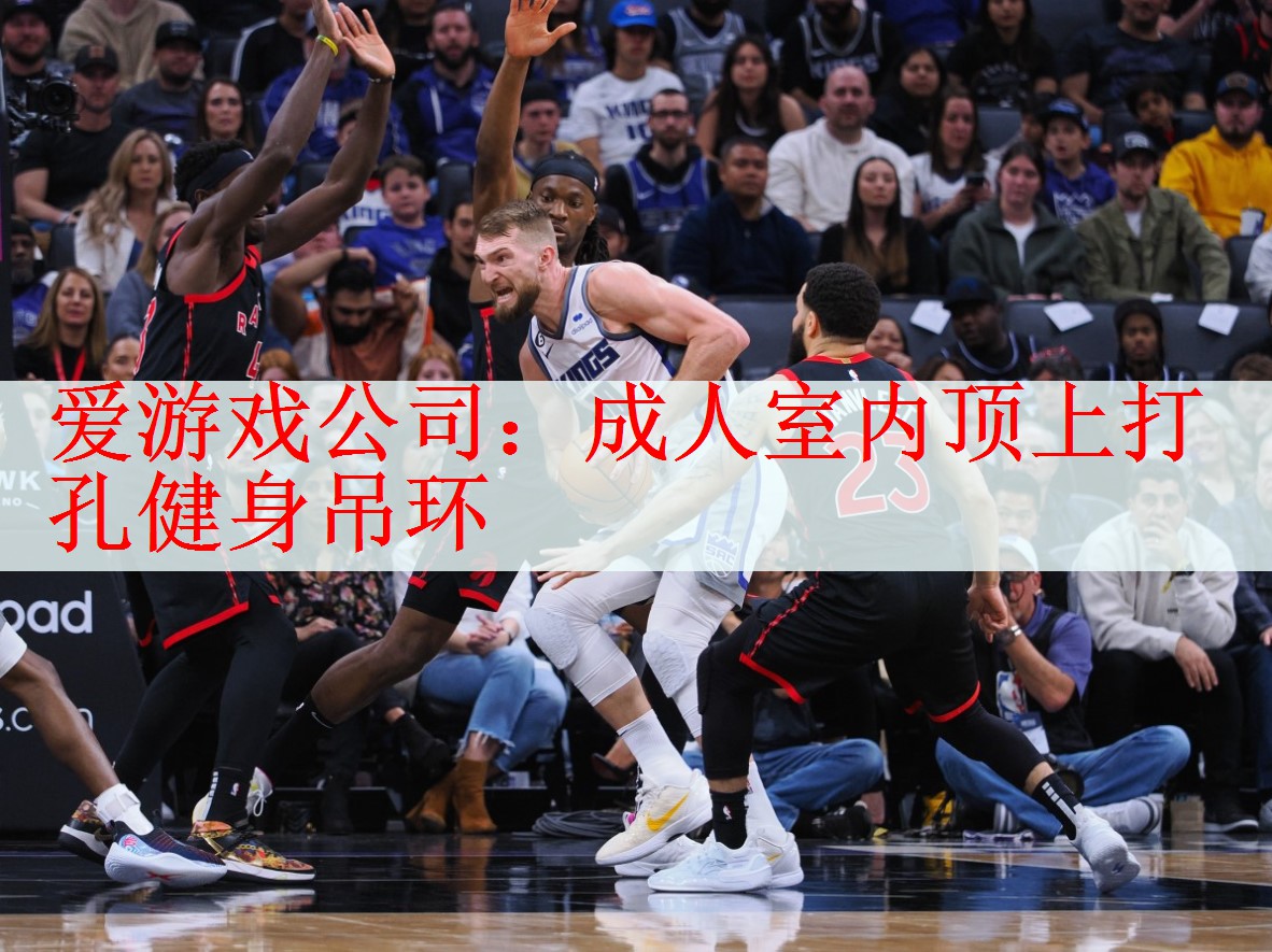 成人室内顶上打孔健身吊环