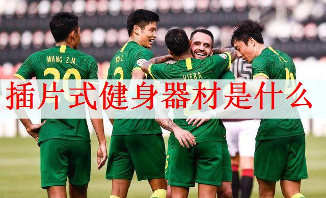 插片式健身器材是什么