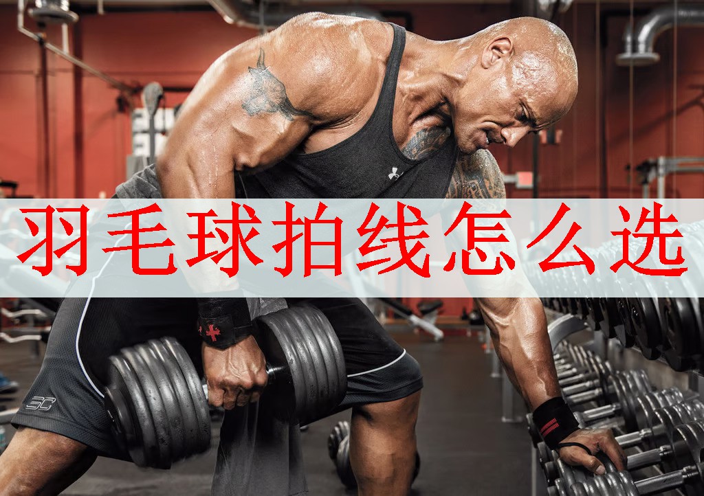 羽毛球拍线怎么选