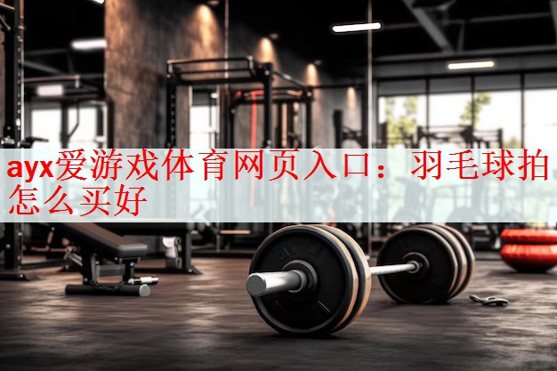 羽毛球拍怎么买好