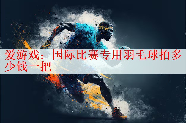 国际比赛专用羽毛球拍多少钱一把
