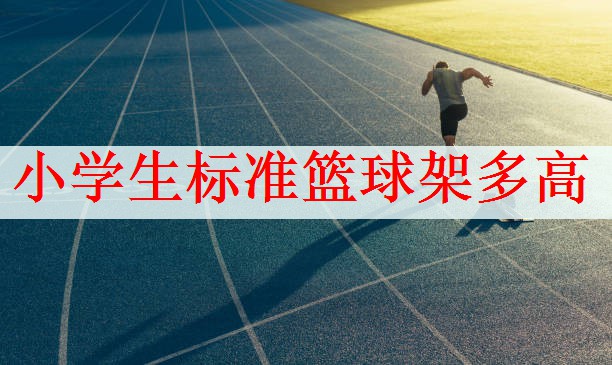 小学生标准篮球架多高