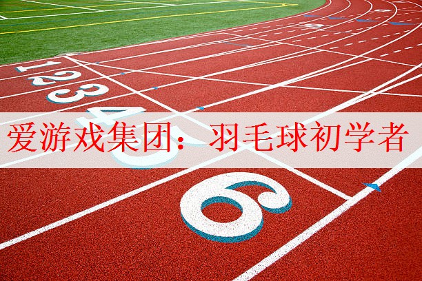 羽毛球初学者