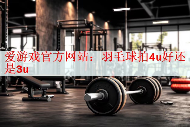 羽毛球拍4u好还是3u