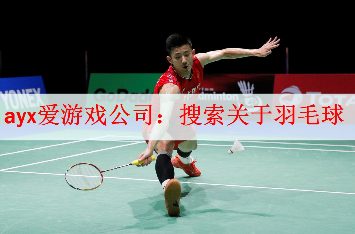 搜索关于羽毛球