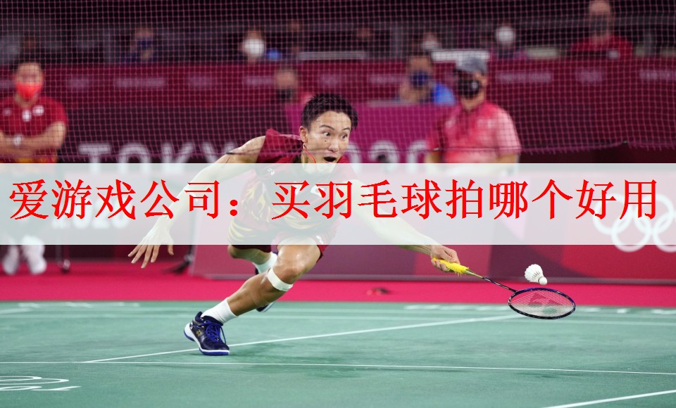 买羽毛球拍哪个好用