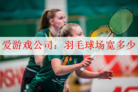 羽毛球场宽多少