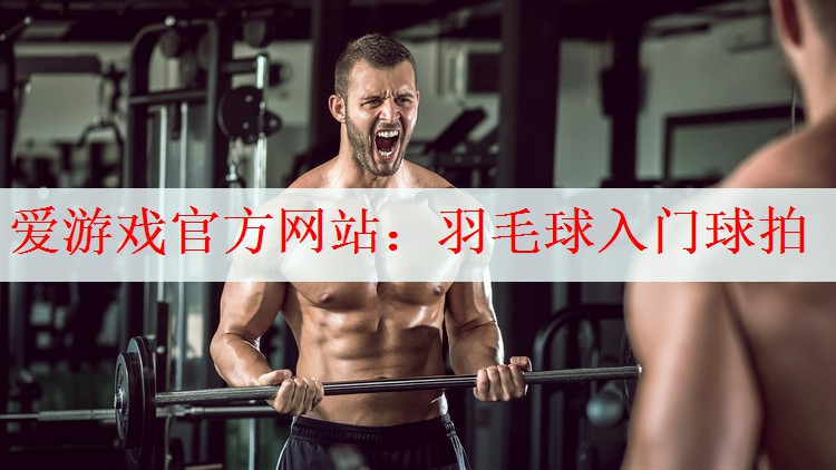羽毛球入门球拍