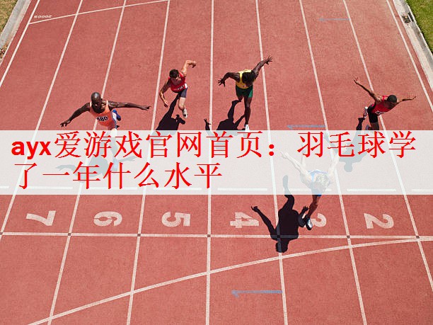 羽毛球学了一年什么水平