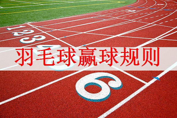 羽毛球赢球规则